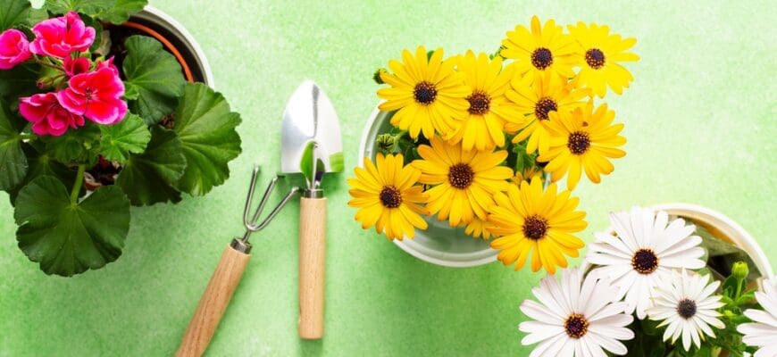 Colorful,Spring,Flowers,In,Pots,Brighten,A,Home,Balcony.,Gardening